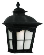  5429-1 BK - Briarwood Traditional, Water Glass and Metal, Outdoor Pocket Wall Lantern Light